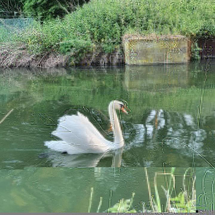 De Vliegende Vlinder Panzió Nederweert Kültér fotó