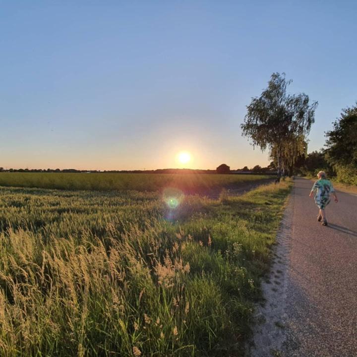 De Vliegende Vlinder Panzió Nederweert Kültér fotó