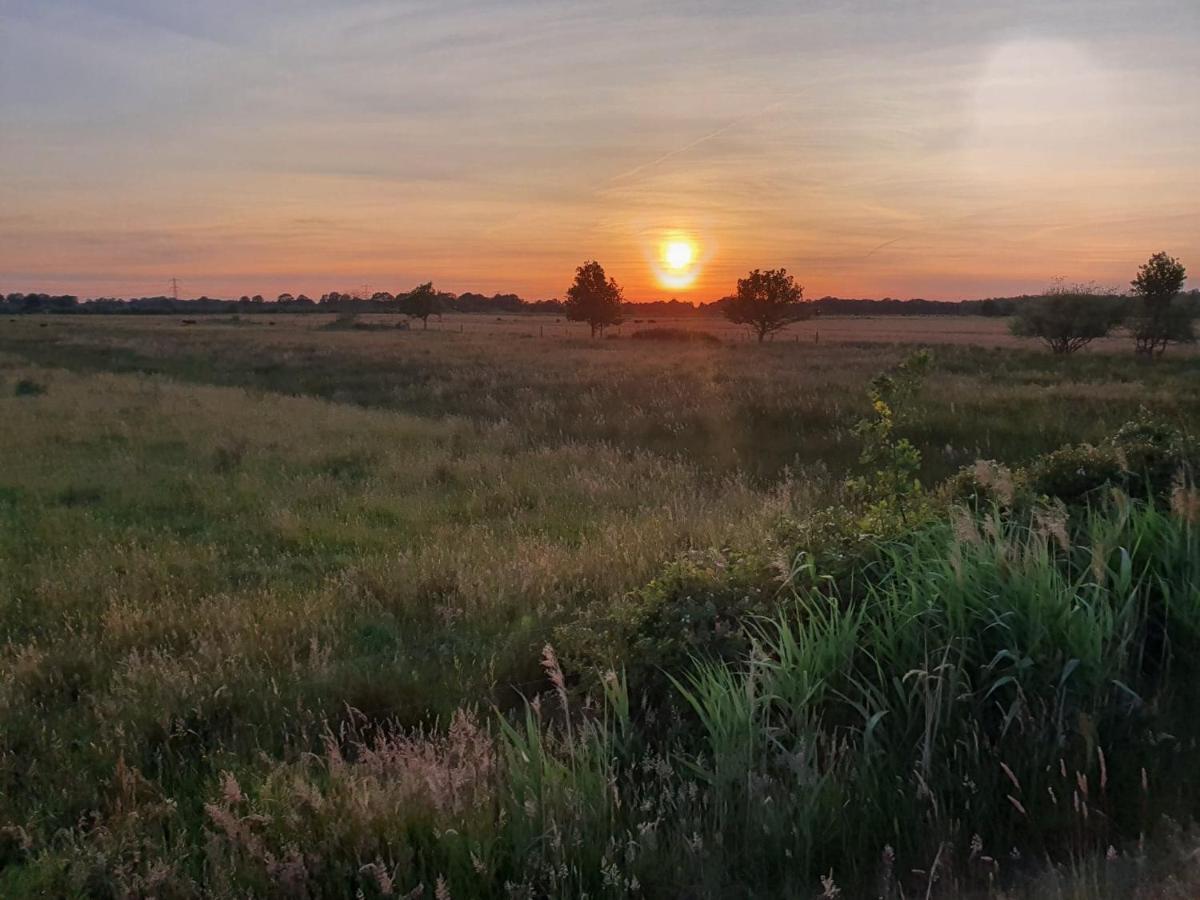 De Vliegende Vlinder Panzió Nederweert Kültér fotó